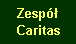 Pole tekstowe: Zesp Caritas